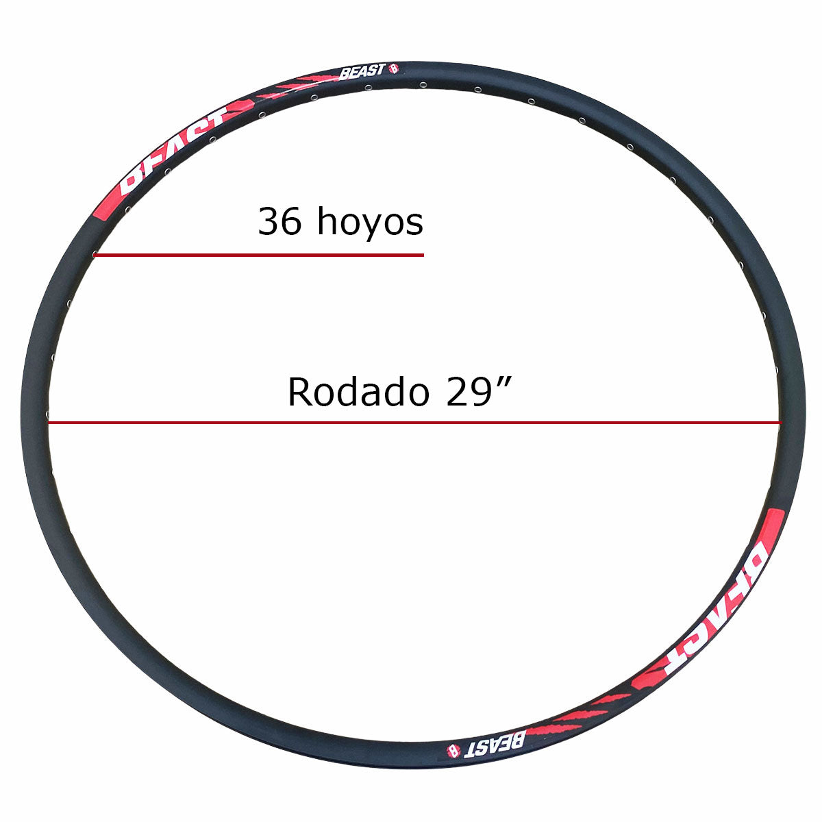 Aros para Bicicleta 29 Mtb De Aluminio para Freno De Disco + Mazas 36h 6 tornillos Beast