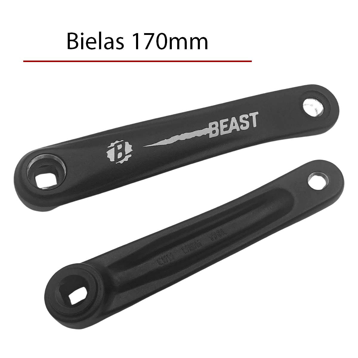 Multiplicación monóplato Beast Mtb 11 Pasos 34d con eje