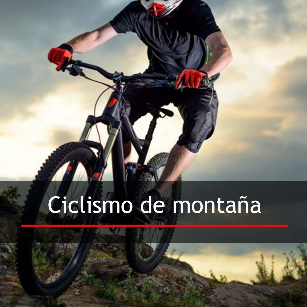 Juego de Mazas para Cassette Freno De Disco Beast Mtb Selladas 8/9/10 pasos 6 tornillos 36 Hoyos