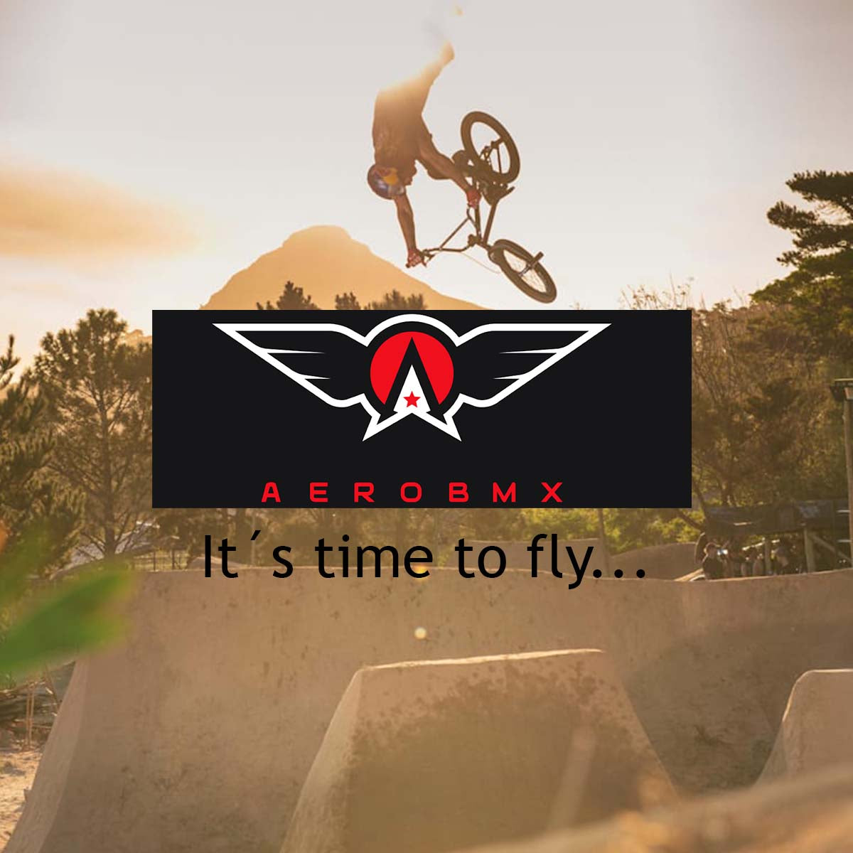 Poste Manubrio Bmx Aerobmx Para Rotor 21.1mm