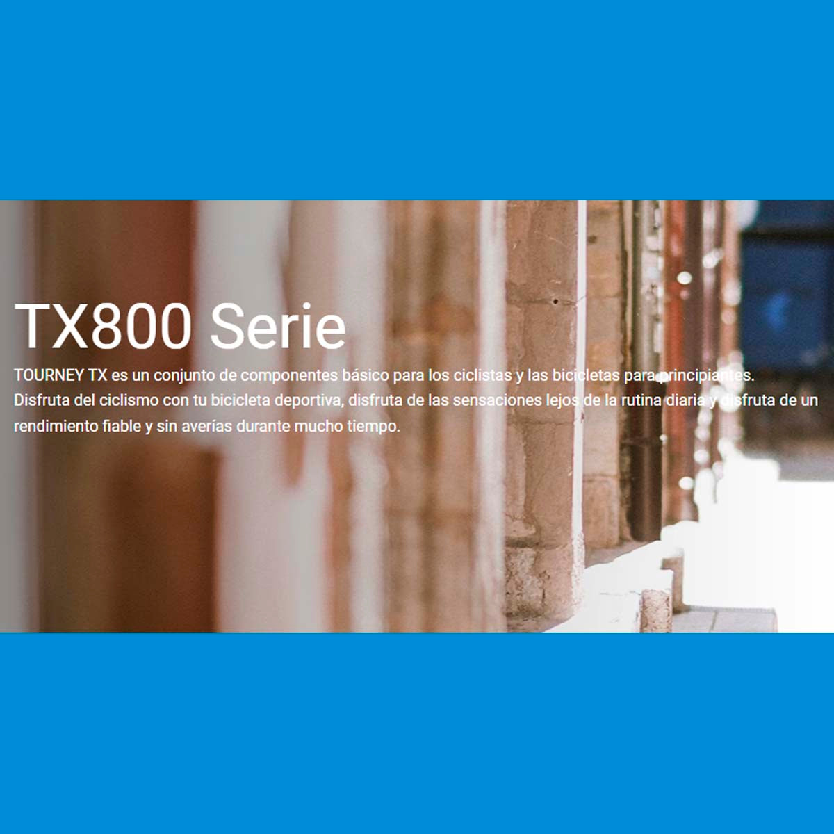 Maza Delantera Shimano Tourney Tx-506 6 Tornillos 8/9/10 Velocidades