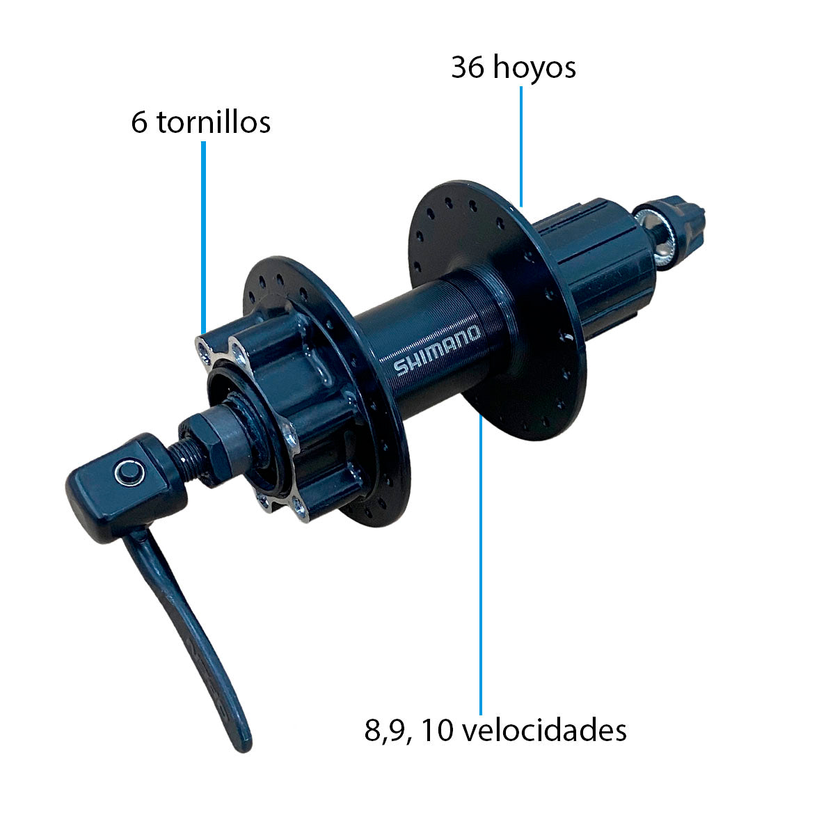 Maza Trasera Shimano Tourney Tx506 6 Tornillos 8/9/10 Velocidades