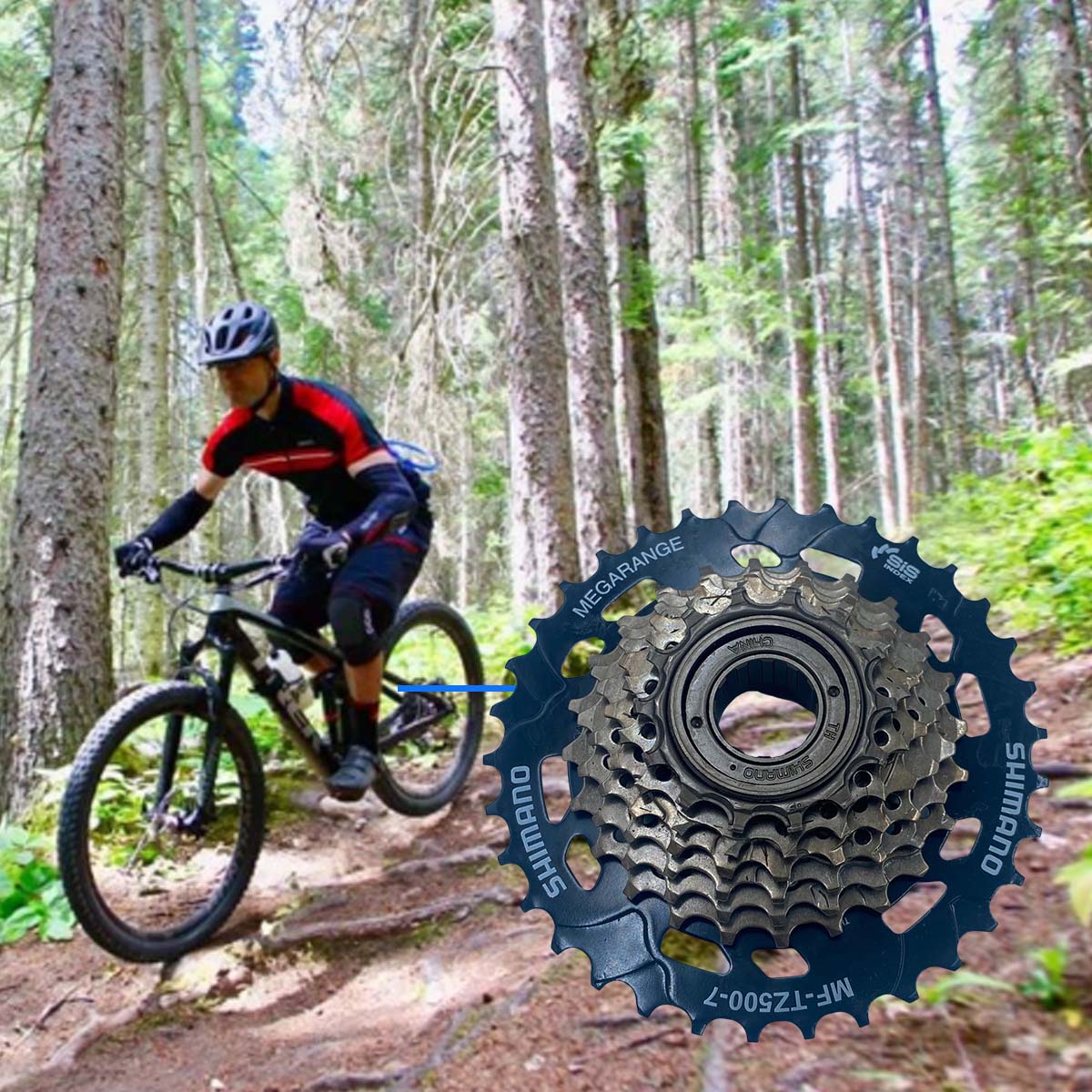 Rueda Libre Sprock De Bicicleta Shimano Megarange Tourney 7 pasos