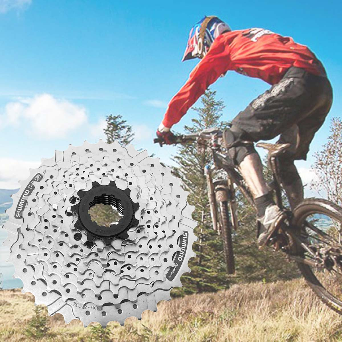 Cassette Sprocket Mtb Shimano Alivio cs-hG201 9pasos 11-36d