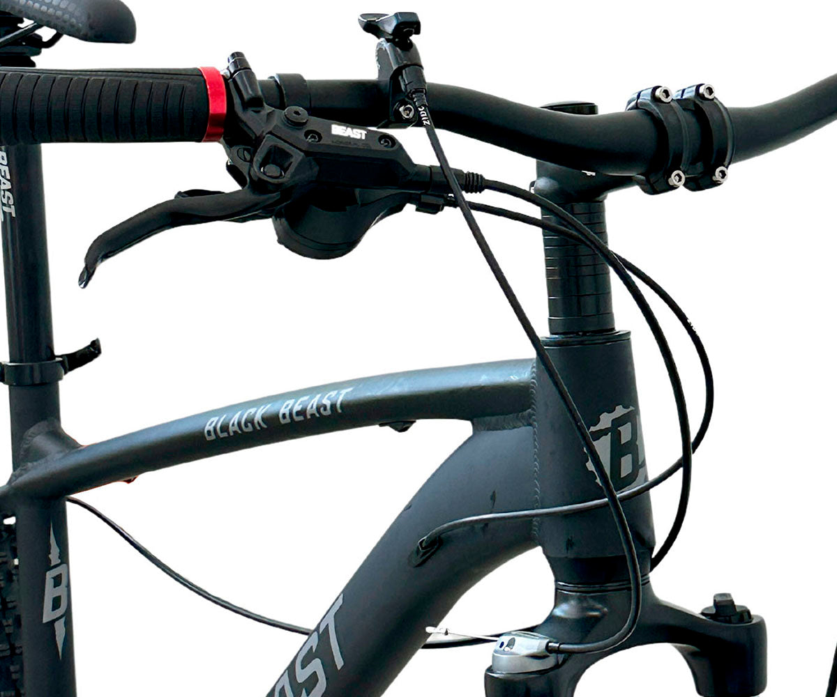 Bicicleta de Montaña Rodado 29 Beast Mtb de 11 Pasos con Tijera De Aire Negro-rojo