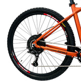 Bicicleta de Montaña R29 Beast Mtb 10 velocidades Frenos de Disco Hidraulicos Naranja