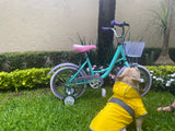 Bicicleta Para Niña Rodado 20 Rosa Infantil Pedalé Azul