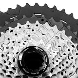 Cassette Shimano Deore XT Cs-m8100 11-46d 12 Pasos Mtb